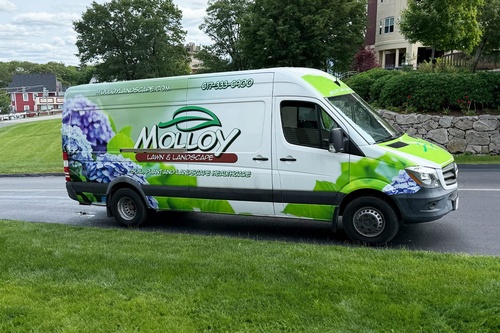 Gallery Image molloy-landscape-local-vans-1.jpg