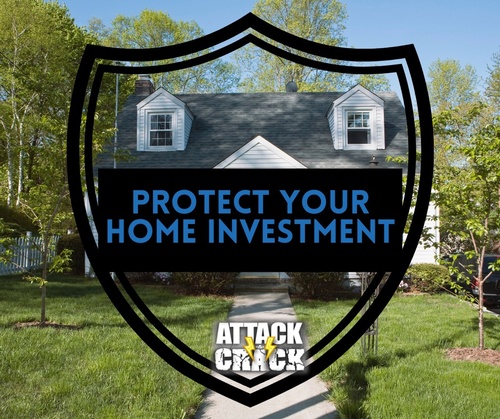 Gallery Image 662882488_122216387042288460_3519770762831159538_n.jpg