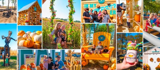 Mazing Acres Pumpkin Patch Mazing Acres Pumpkin Patch