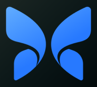 Butterfly Network Butterfly Network