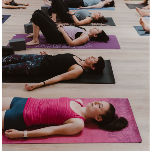 Gallery Image LPY4.png Gallery Image LPY4.png