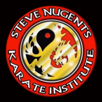 Steve Nugents Karate Institute