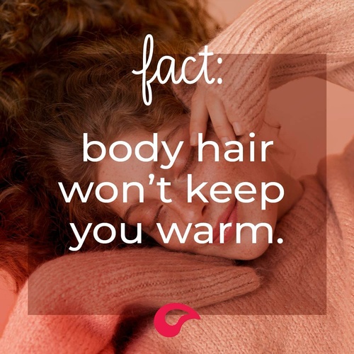 Gallery Image HelloSugar3.jpg