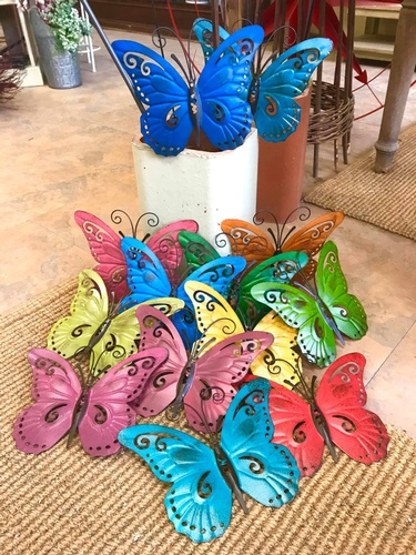 Gallery Image butterflies.jpg Gallery Image butterflies.jpg
