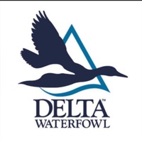 Delta Waterfowl of Mount Pleasant