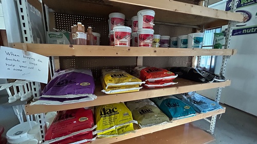 Horse, equine supplies