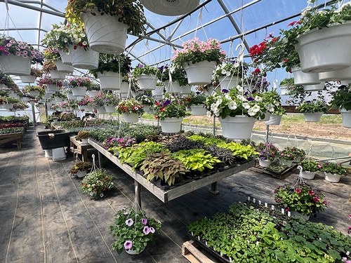 Sunny View Greenhouse 