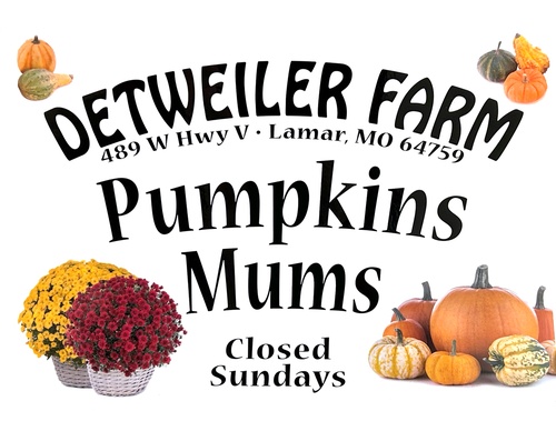 Detweler Farm - Pumpkins and Mums