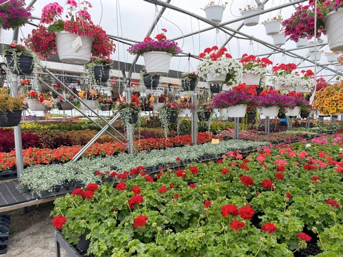 Gallery Image 2026-flowes-A.jpg