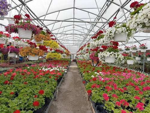 Gallery Image 2026-flowes-D.jpg