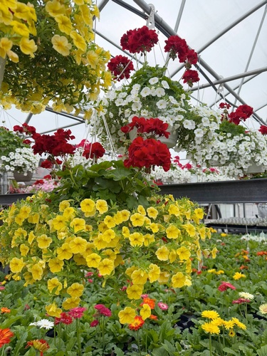 Gallery Image 2026-flowes-E.jpg