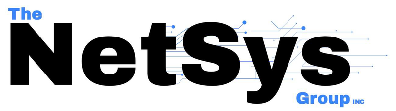 The NetSys Group