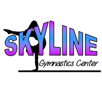 Skyline Gymnastics Center, Ltd.