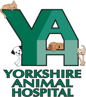 Yorkshire Animal Hospital c/o CareVet