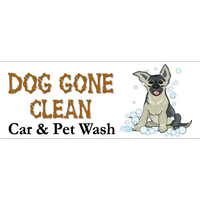 Dog Gone Clean Car & Pet Wash