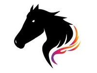 Dark Horse Consulting LLC