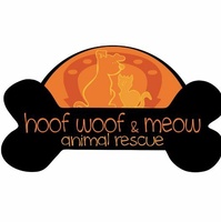Hoof Woof & Meow Animal Rescue
