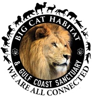 Big Cat Habitat & Gulf Coast Sanctuary