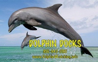 Dolphin Docks