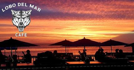 Lobo Del Mar Cafe Lobo Del Mar Cafe