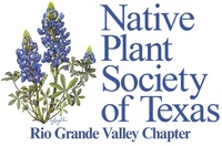 Rio Grande Valley - Native Plant Society of Texas Rio Grande Valley - Native Plant Society of Texas
