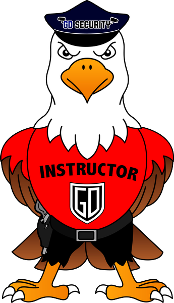 Gallery Image GDSecuritySpecialists%20EAGLE.png