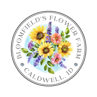Bloomfields Flower Farm 