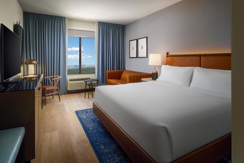 King Suite with sofa bed