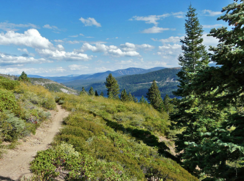 Gallery Image donner%20lake%20rim%20trail-1.png