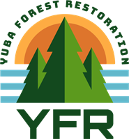 Yuba Forest Restoration