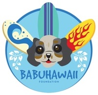 BabuHawaii Foundation
