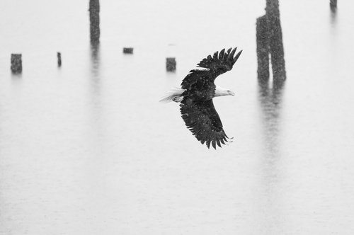 Gallery Image 20160416-Leve-3123.jpg