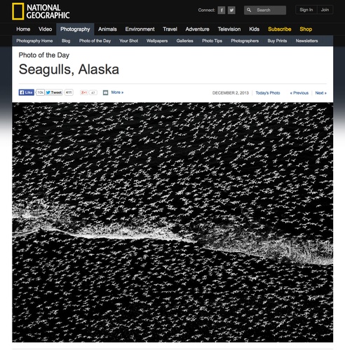 Gallery Image Screen-Shot-2014-02-19-at-51937-PM.jpg
