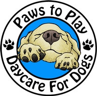 Paws to Play Dog Daycare & Grooming Centre