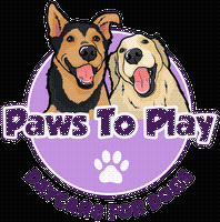 Paws to Play Dog Daycare & Grooming Centre