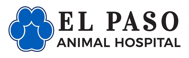 El Paso Animal Hospital