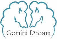 Gemini Dream Jewelry Design