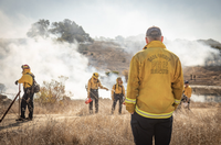 Napa Firewise