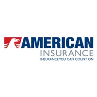 American Insurance & Investment Corp.