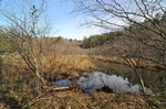 Wetland Loop Trail at Smithgall Woods State Park