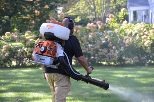 Gallery Image DSC_0043.JPG