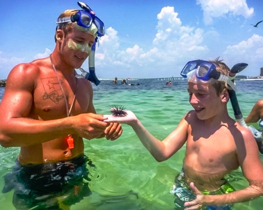 Gallery Image Snorkel2.jpg Gallery Image Snorkel2.jpg