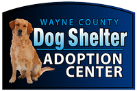 Wayne County Dog Shelter