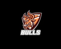 Wooster Bulls