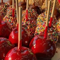 Redmond Concessions