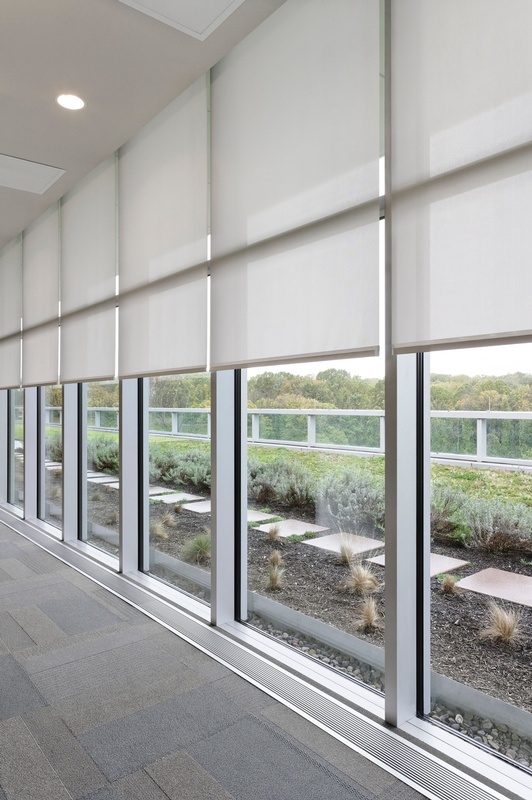 Commercial Motorized Shades