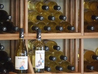 Belle Vinez Vineyard & Winery