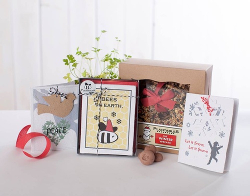 Seed paper cards for all occasions and bird seed wreaths