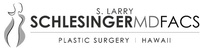 Dr. S. Larry Schlesinger