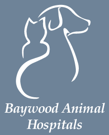 Baywood South Animal Hospital